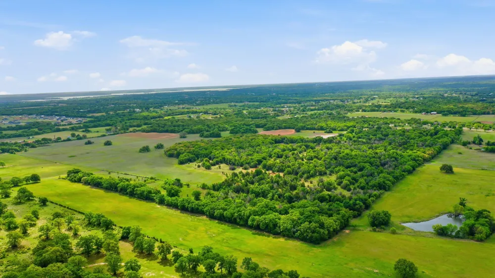 Ladybird Ln Azle, TX 76020