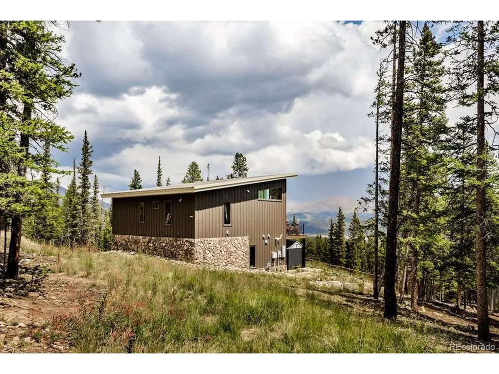 125 Puma Place Fairplay, CO 80440