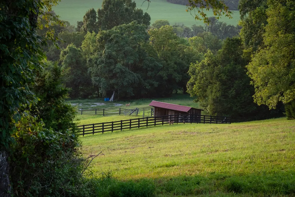 4118 Leipers Creek Rd Williamsport, TN 38487