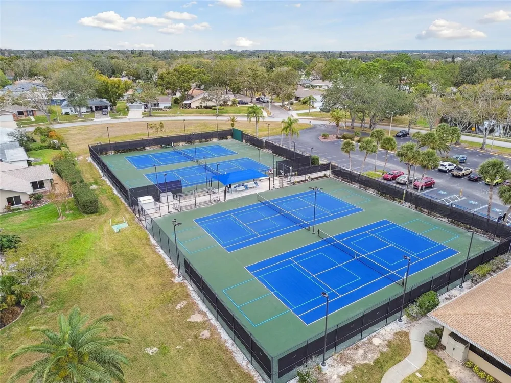 2150 SHELLY DRIVE #B Palm Harbor, FL 34684