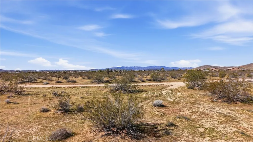 Lynwood Drive Joshua Tree, CA 92252