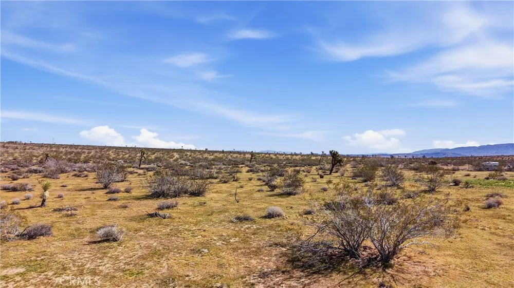 Lynwood Drive Joshua Tree, CA 92252
