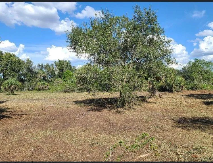 15996 NW 314TH STREET Okeechobee, FL 34972