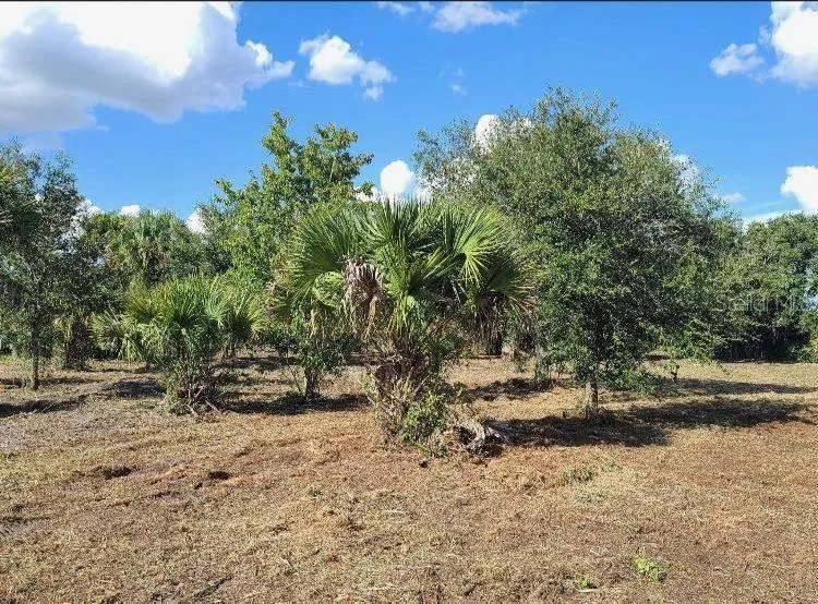 15996 NW 314TH STREET Okeechobee, FL 34972