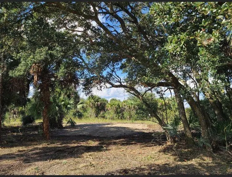 15996 NW 314TH STREET Okeechobee, FL 34972