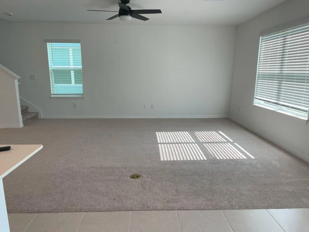 3943 ALMOND BROOK BOULEVARD Land O Lakes, FL 34638