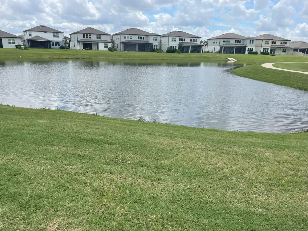 3943 ALMOND BROOK BOULEVARD Land O Lakes, FL 34638