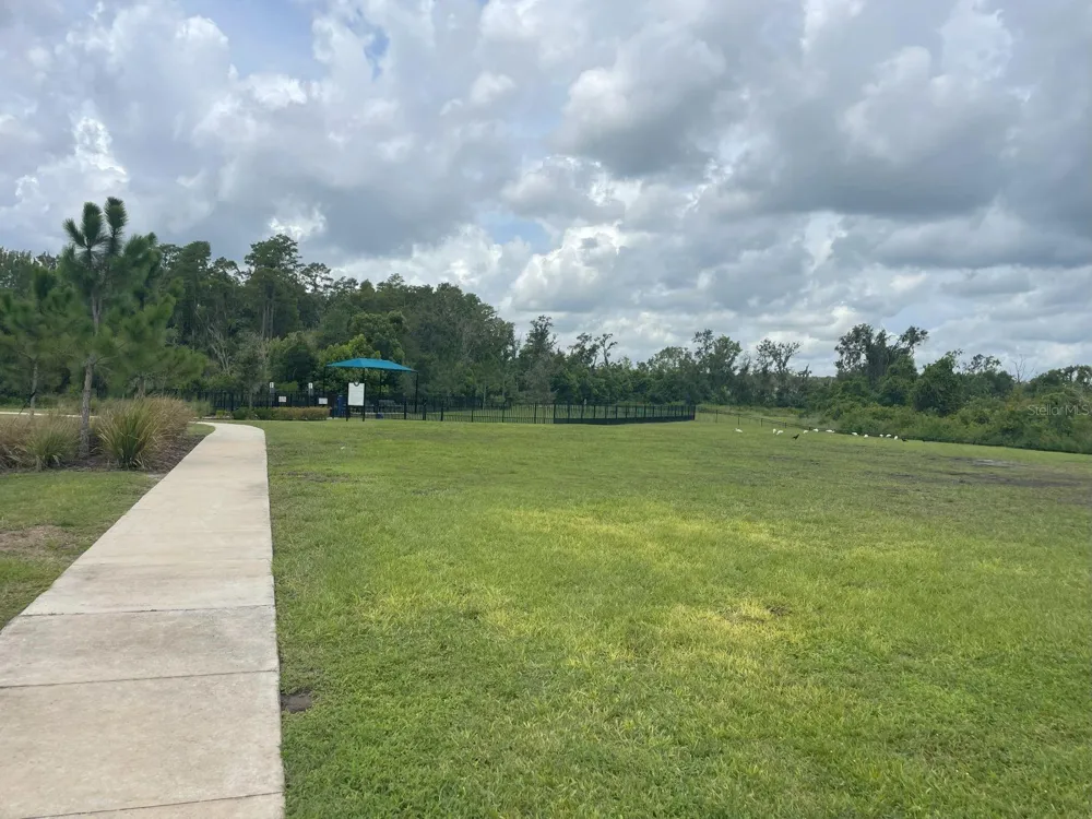 3943 ALMOND BROOK BOULEVARD Land O Lakes, FL 34638