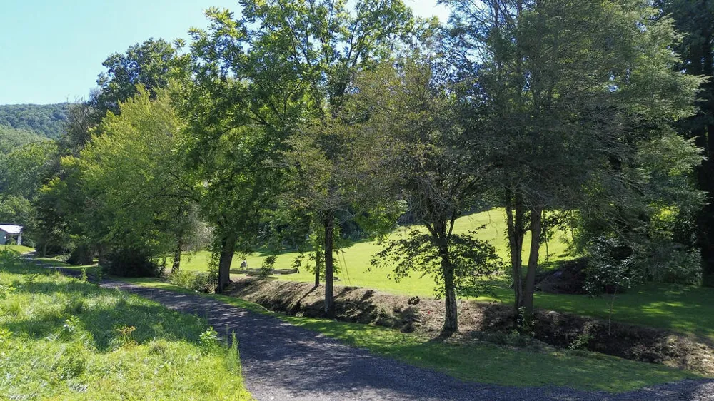 Wilson Cemetery Road Cullowhee, NC 28723