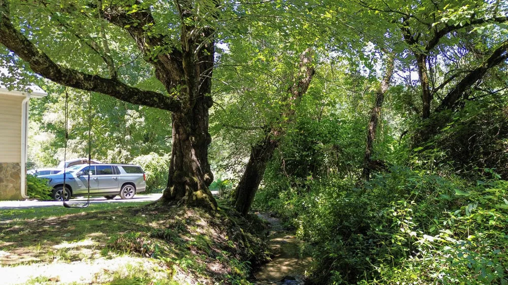 Wilson Cemetery Road Cullowhee, NC 28723