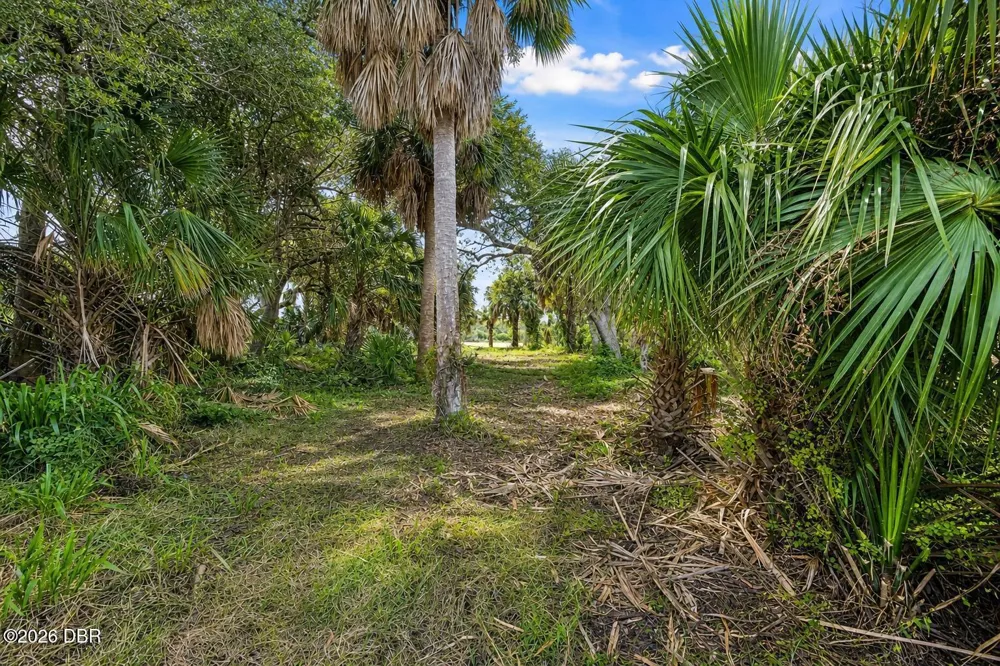 3668 John Anderson Drive Ormond Beach, FL 32176