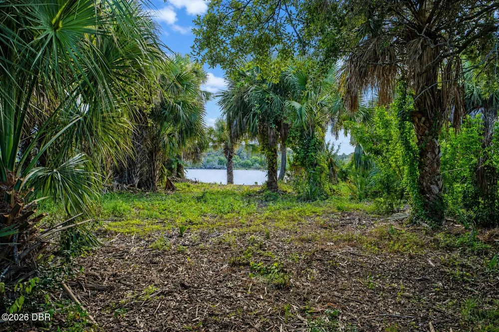 3668 John Anderson Drive Ormond Beach, FL 32176