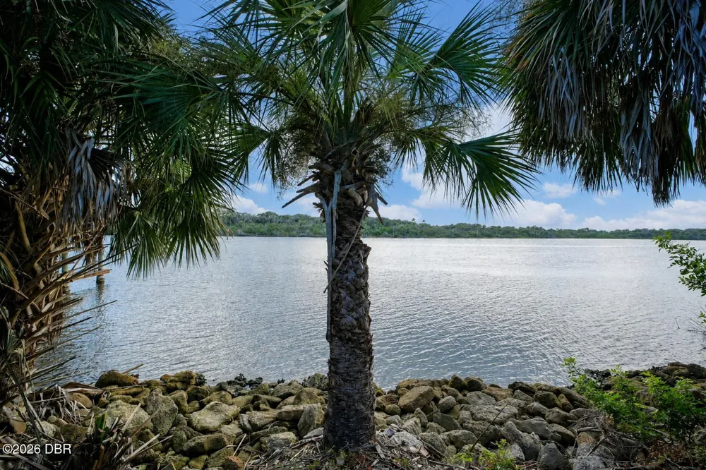 3668 John Anderson Drive Ormond Beach, FL 32176