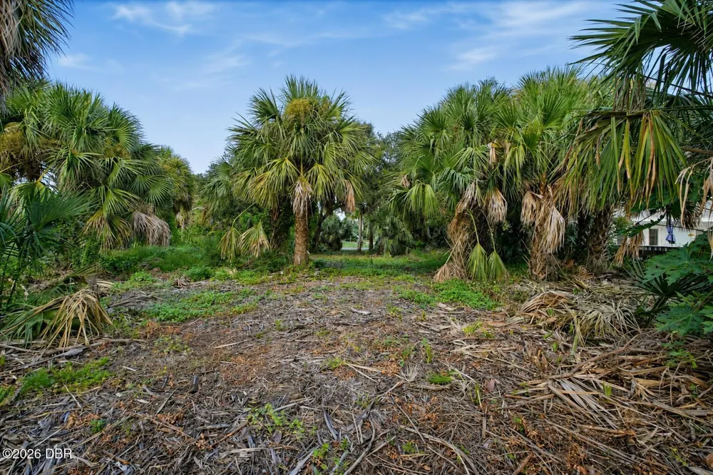 3668 John Anderson Drive Ormond Beach, FL 32176