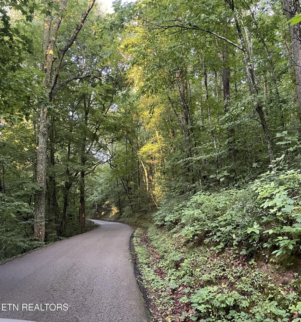 141 Settlers Rd Harriman, TN 37748