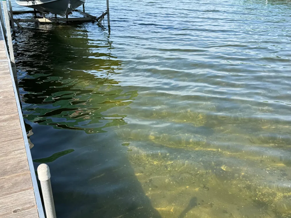 1583 E Shore Drive Detroit Lakes, MN 56501