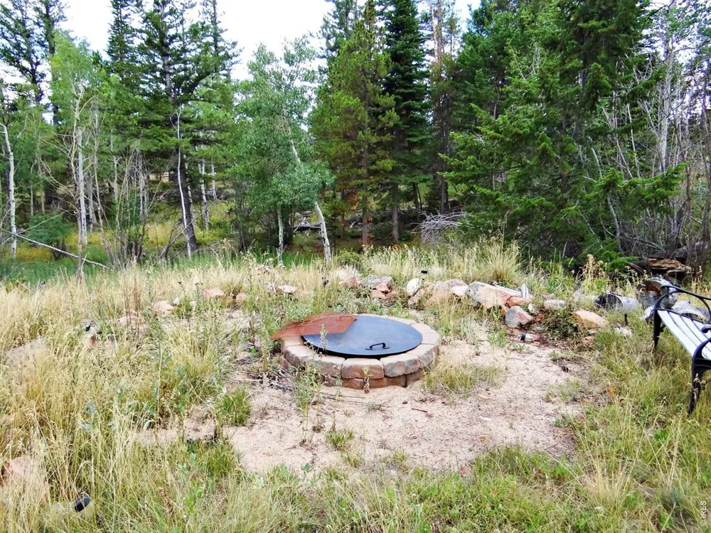 171 Spokane Court Red Feather Lakes, CO 80545