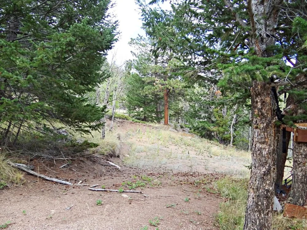 171 Spokane Court Red Feather Lakes, CO 80545