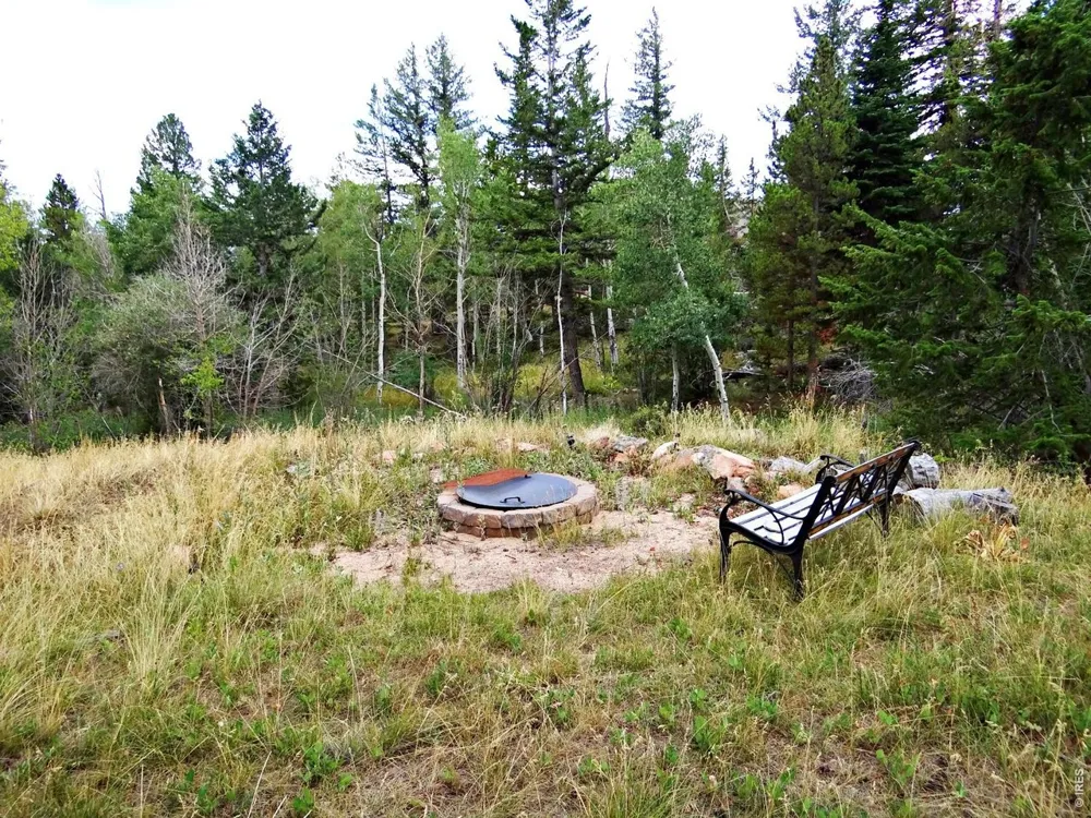 171 Spokane Court Red Feather Lakes, CO 80545