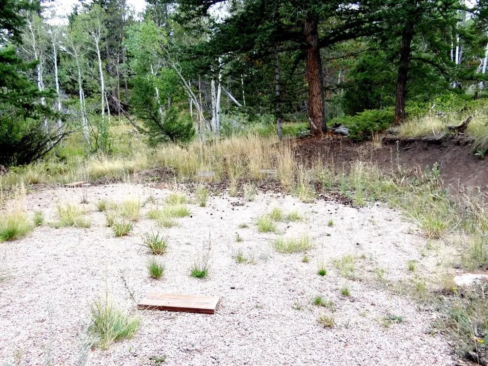 171 Spokane Court Red Feather Lakes, CO 80545