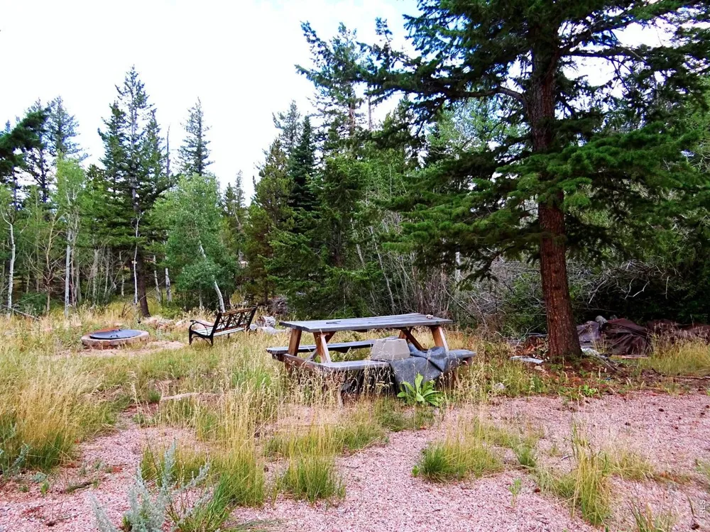 171 Spokane Court Red Feather Lakes, CO 80545