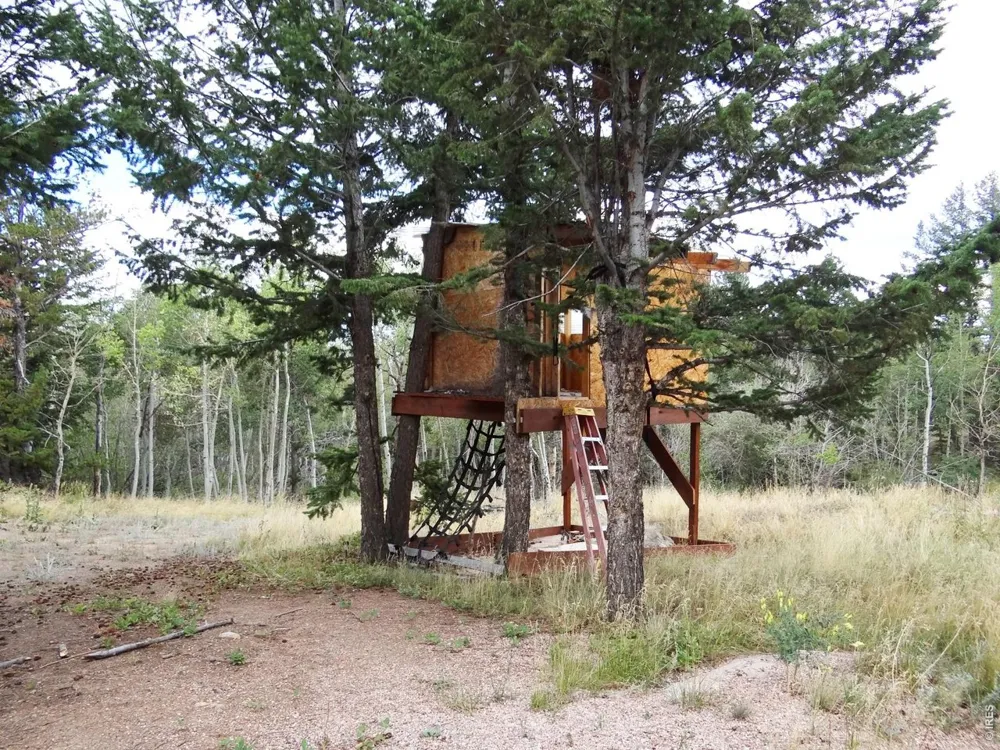 171 Spokane Court Red Feather Lakes, CO 80545
