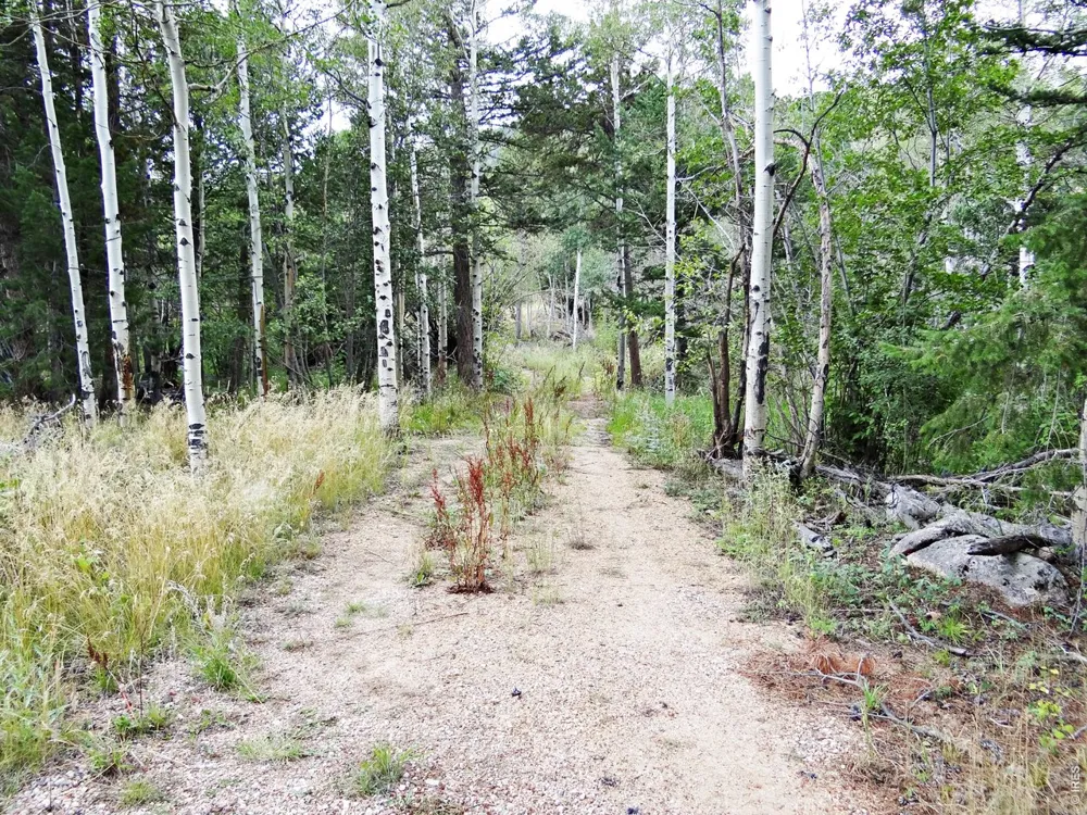 171 Spokane Court Red Feather Lakes, CO 80545