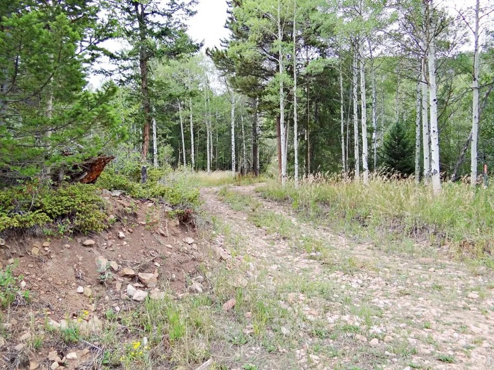 171 Spokane Court Red Feather Lakes, CO 80545