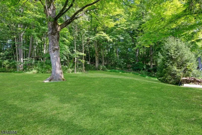 23 Combs Hollow Rd Randolph, NJ 07869