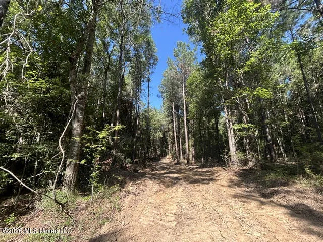 Chisholm Drive Summit, MS 39666