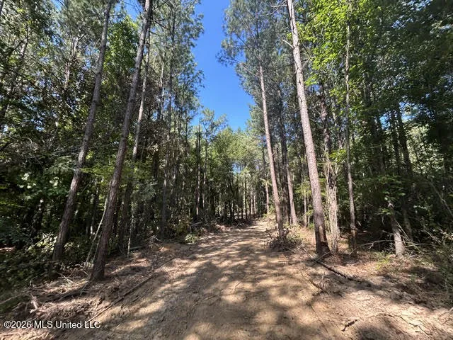 Chisholm Drive Summit, MS 39666