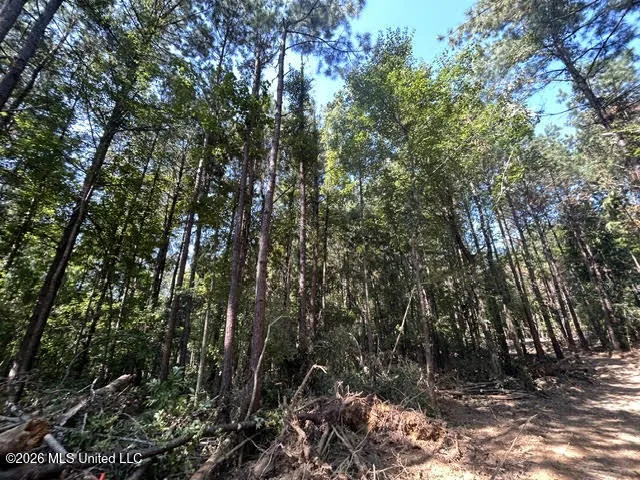 Chisholm Drive Summit, MS 39666