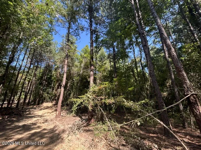 Chisholm Drive Summit, MS 39666