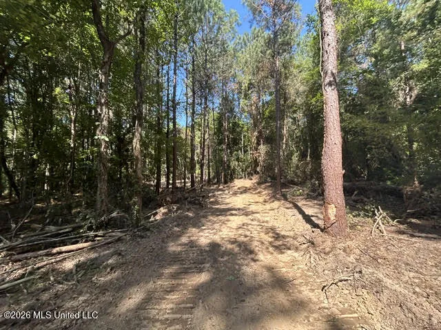 Chisholm Drive Summit, MS 39666