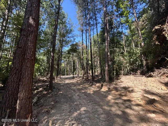 Chisholm Drive Summit, MS 39666