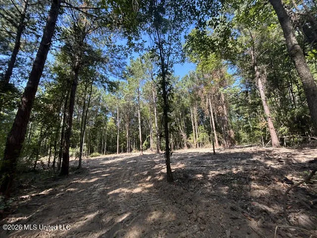 Chisholm Drive Summit, MS 39666