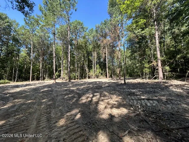 Chisholm Drive Summit, MS 39666