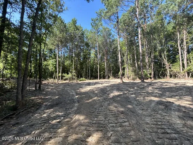 Chisholm Drive Summit, MS 39666