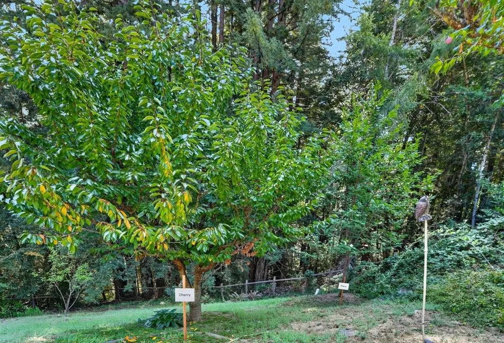 303 Sanborn Lane Felton, CA 95018