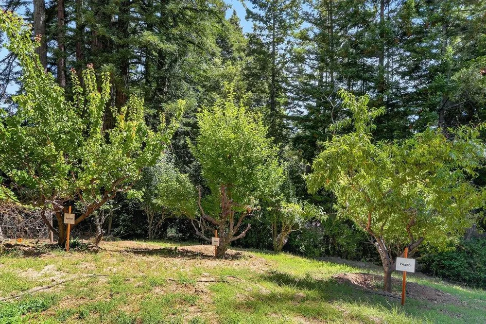 303 Sanborn Lane Felton, CA 95018