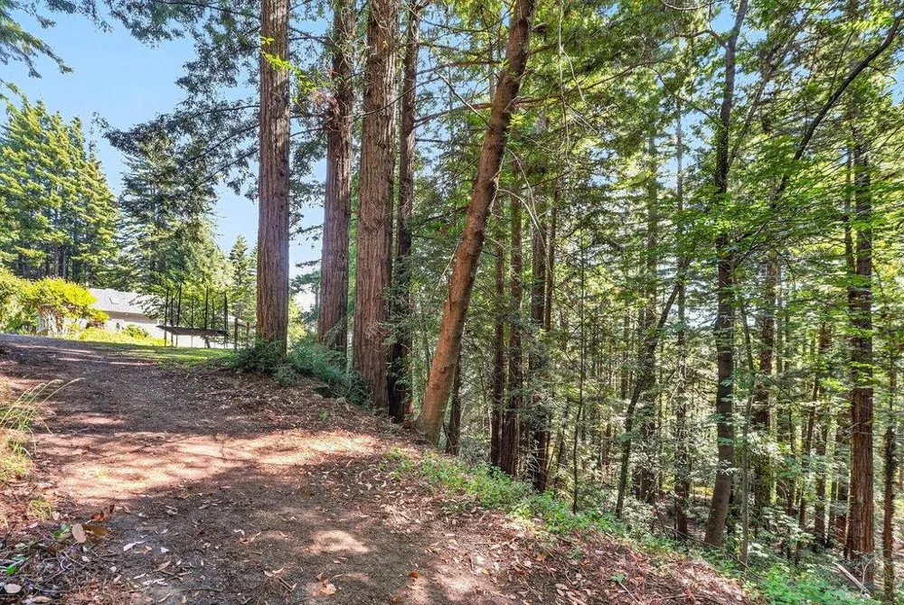 303 Sanborn Lane Felton, CA 95018