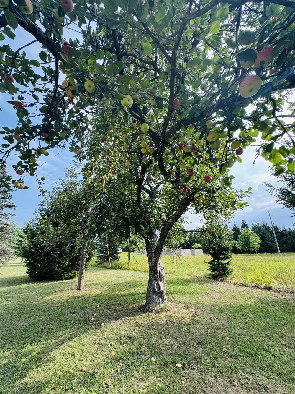 7146 River Road Osceola Township, MI 49631