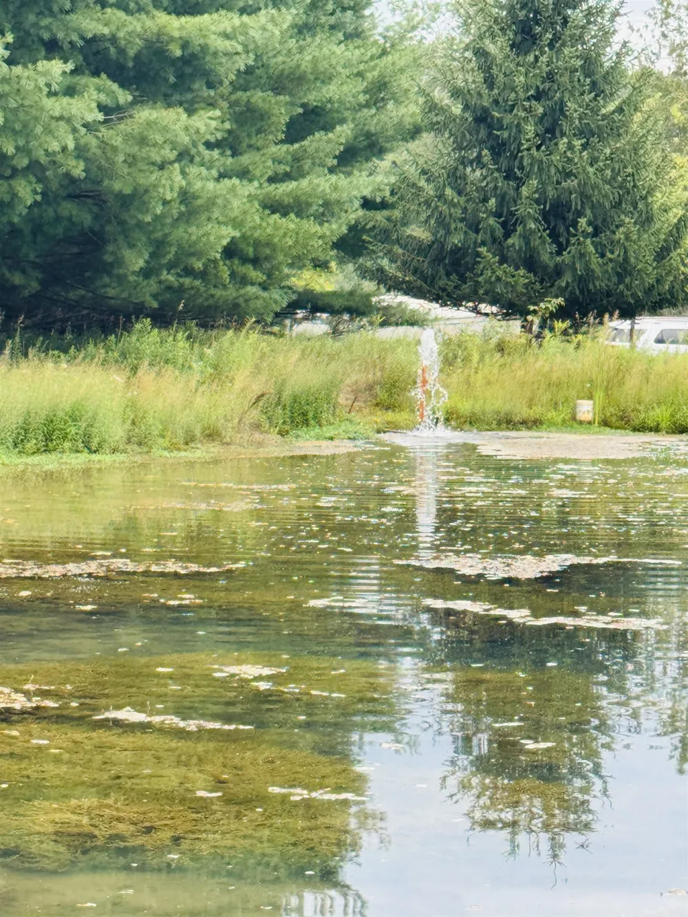 7146 River Road Osceola Township, MI 49631