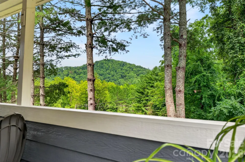 310 Magnolia Ridge Road Swannanoa, NC 28778