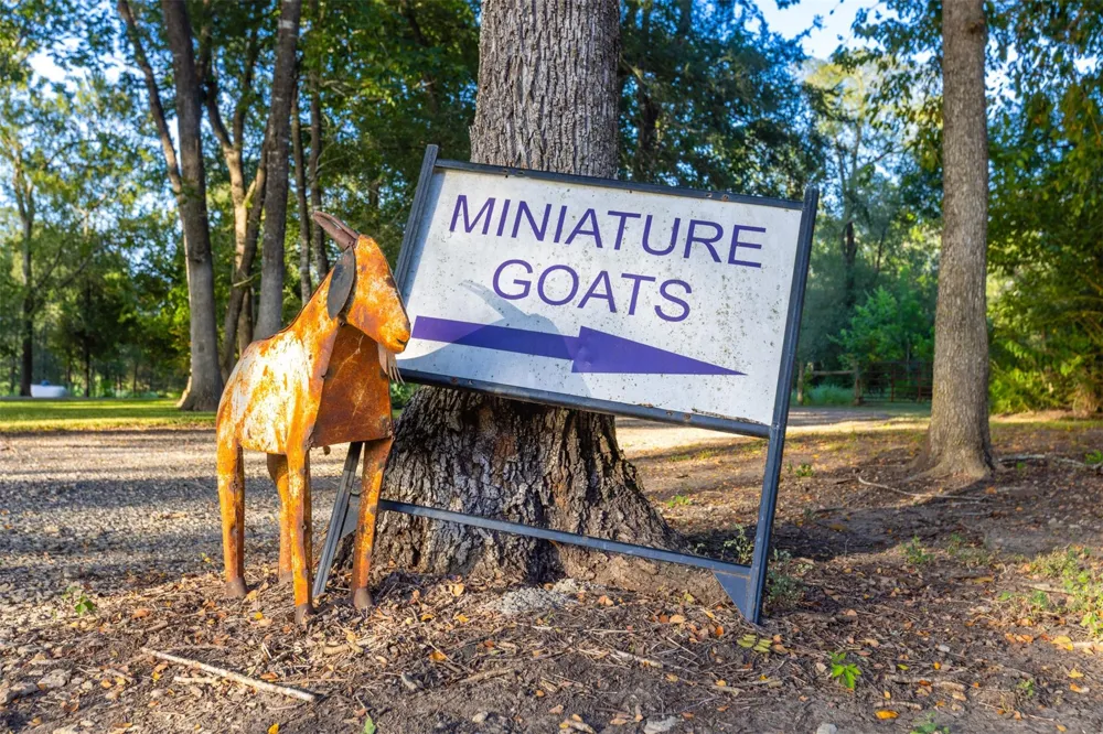 2250 Dillard Road Brenham, TX 77833