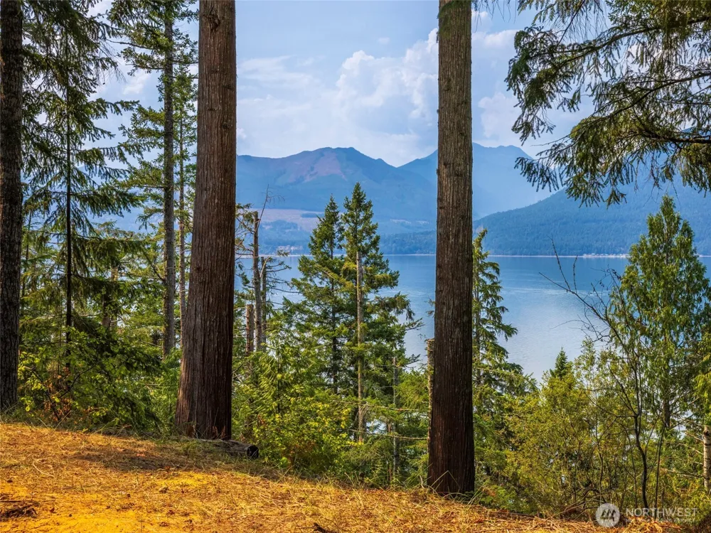 124 Foxglove Lane Quilcene, WA 98376