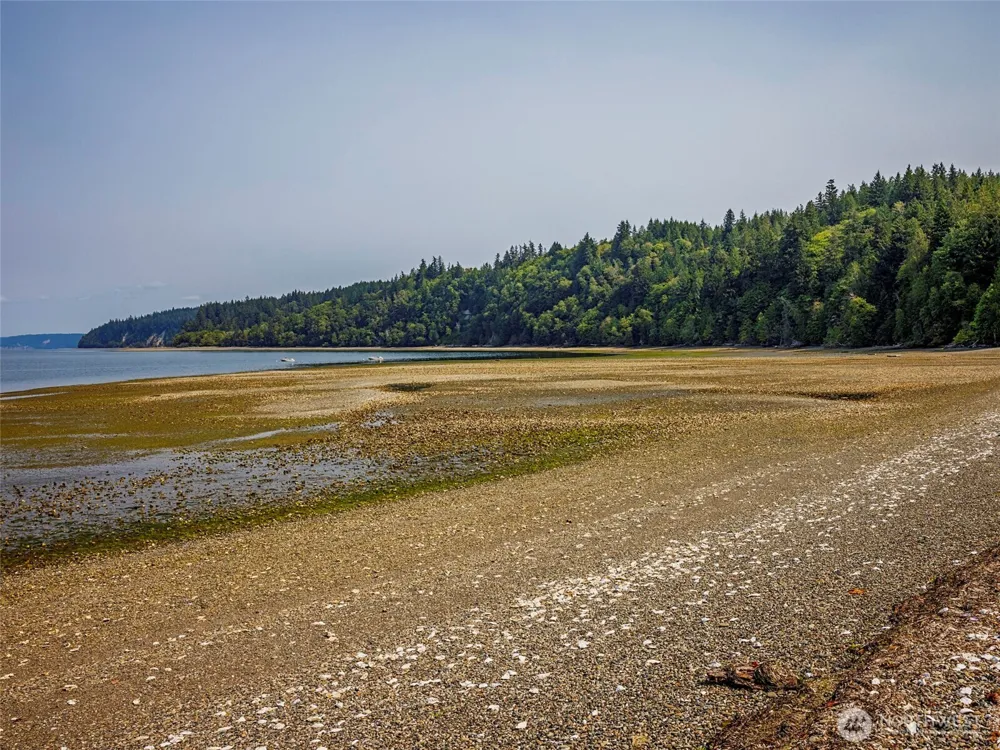124 Foxglove Lane Quilcene, WA 98376