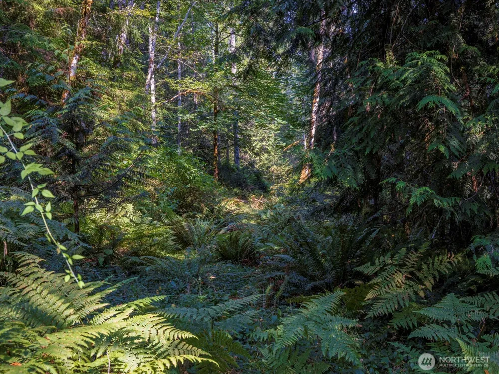 124 Foxglove Lane Quilcene, WA 98376