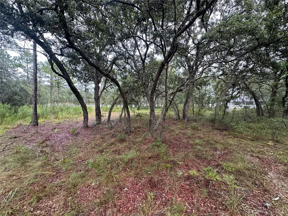 10361 THRASHER AVENUE Weeki Wachee, FL 34614