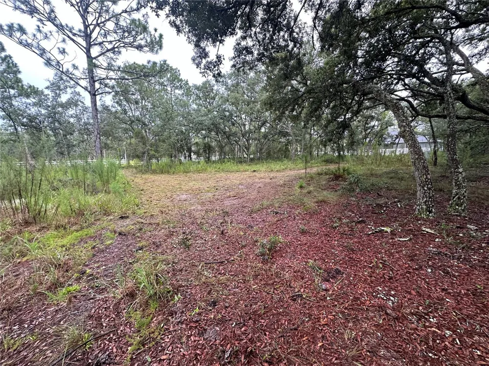 10361 THRASHER AVENUE Weeki Wachee, FL 34614